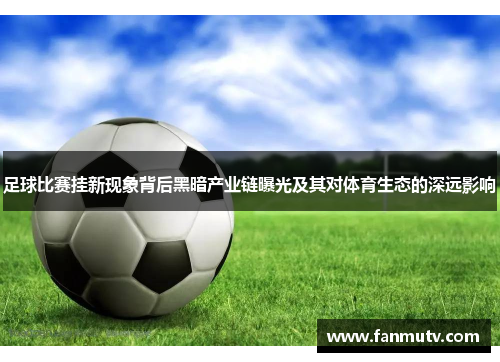 足球比赛挂新现象背后黑暗产业链曝光及其对体育生态的深远影响