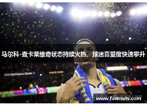 马尔科-查卡莱维奇状态持续火热，球迷喜爱度快速攀升