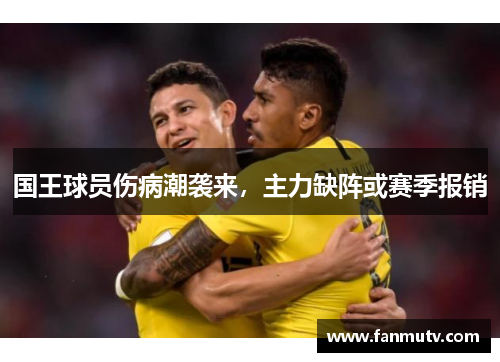 国王球员伤病潮袭来，主力缺阵或赛季报销
