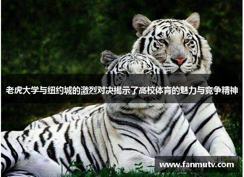 老虎大学与纽约城的激烈对决揭示了高校体育的魅力与竞争精神