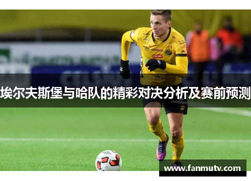 埃尔夫斯堡与哈队的精彩对决分析及赛前预测